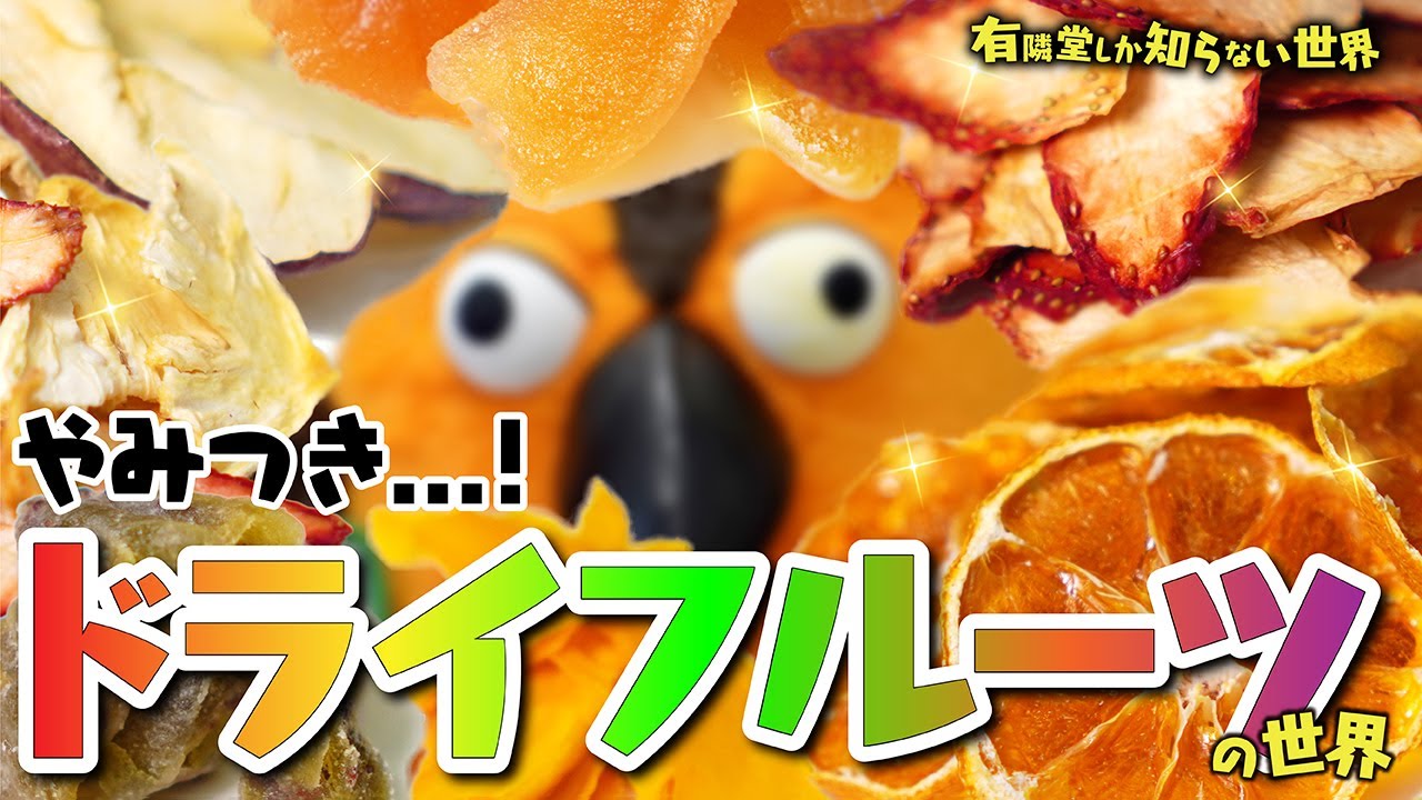 【噛むほど甘い】書店で買える「うまいドライフルーツ」の世界 ～有隣堂しか知らない世界065～