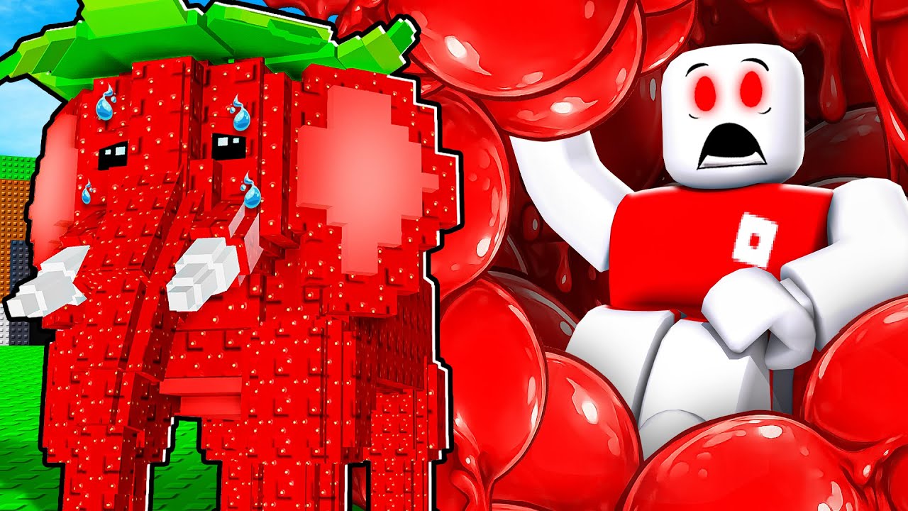 NEVER Play Roblox ENTER THE BRAINROT...