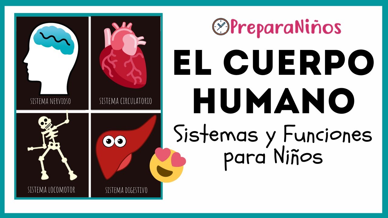 EL CUERPO HUMANO PARA NIÑOS DE PRIMARIA ⏰ PreparaNiños.com