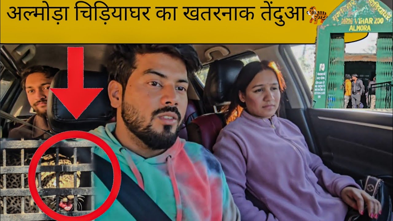 Aaj Khtarnak Leopard 🐆 Dekh liya Almora Zoo main | Pahadi lifestyle vlog @tripsense 