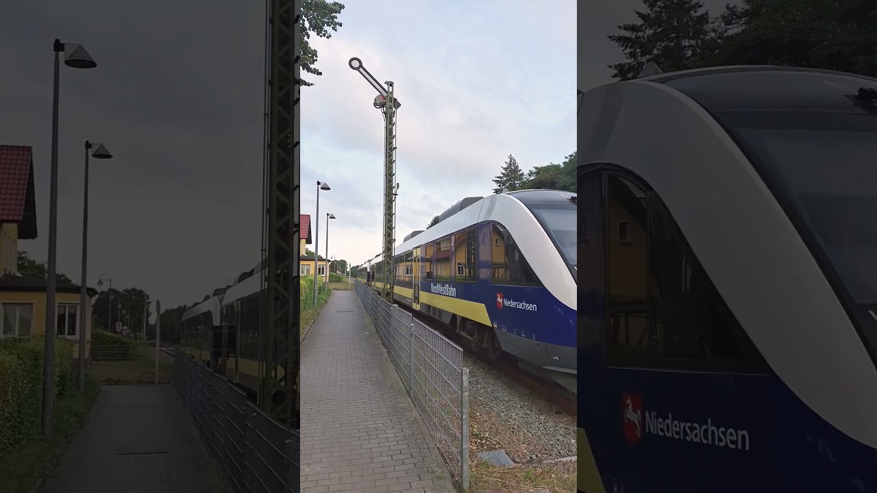 RB59 nach Esens #train #railtrack #trainspotting #railwaycontent #railway #rail