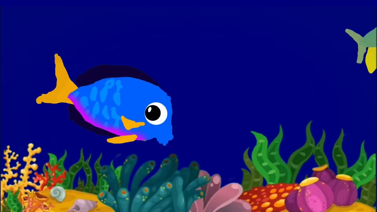 Fish Aquarium [Peaceful and Calming]