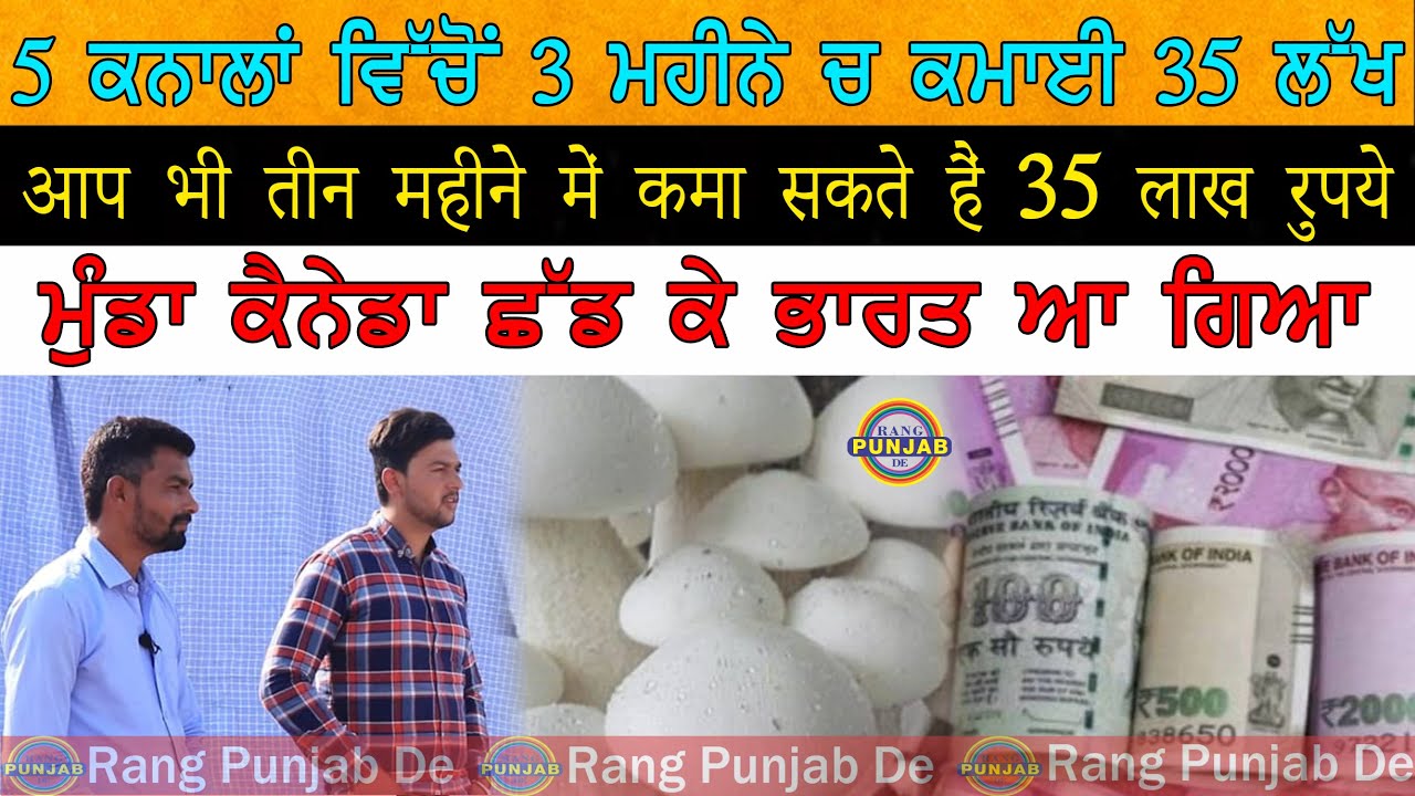 5 ਕਨਾਲਾਂ ਜਮੀਨ ਵਿੱਚ ਇਸ ਤਰ੍ਹਾਂ ਕਮਾਉਂਦੈ 35-40 ਲੱਖ ਰੁਪਏ  ਸਿਰਫ 3 ਮਹੀਨੇ 'ਚ ! Rang Punjab De।Dharma Haryau।