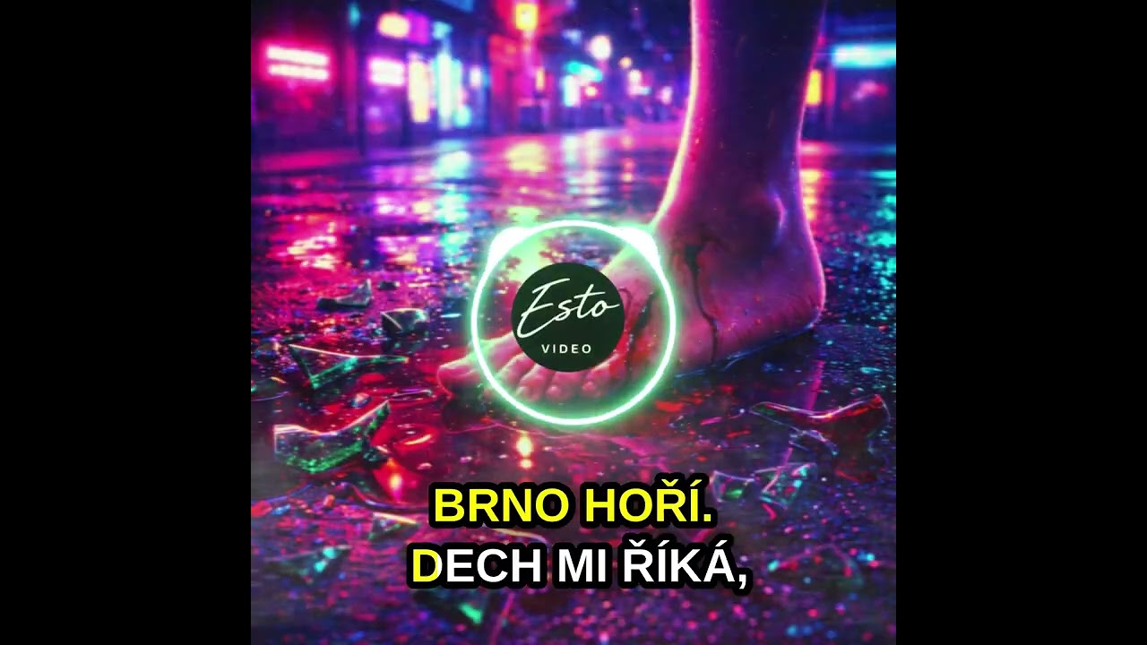 Noc plná Neonů - SONG AND COVER ANIME ART BY ESTO