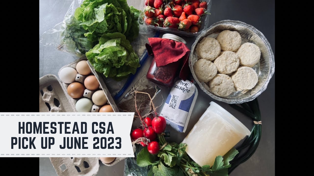 How to Start a Homestead CSA