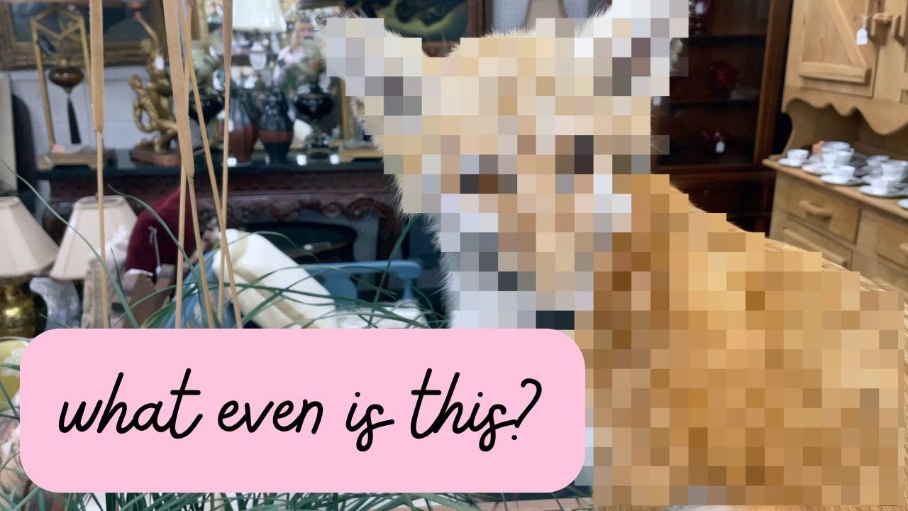 Bad Dates and Worse Taxidermy: The Artist's Way Part 2