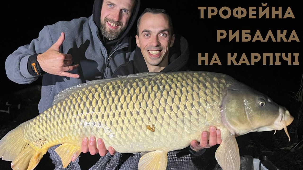 Неймовірна рибалка на озері Карпич — купа кльову і великі коропи!