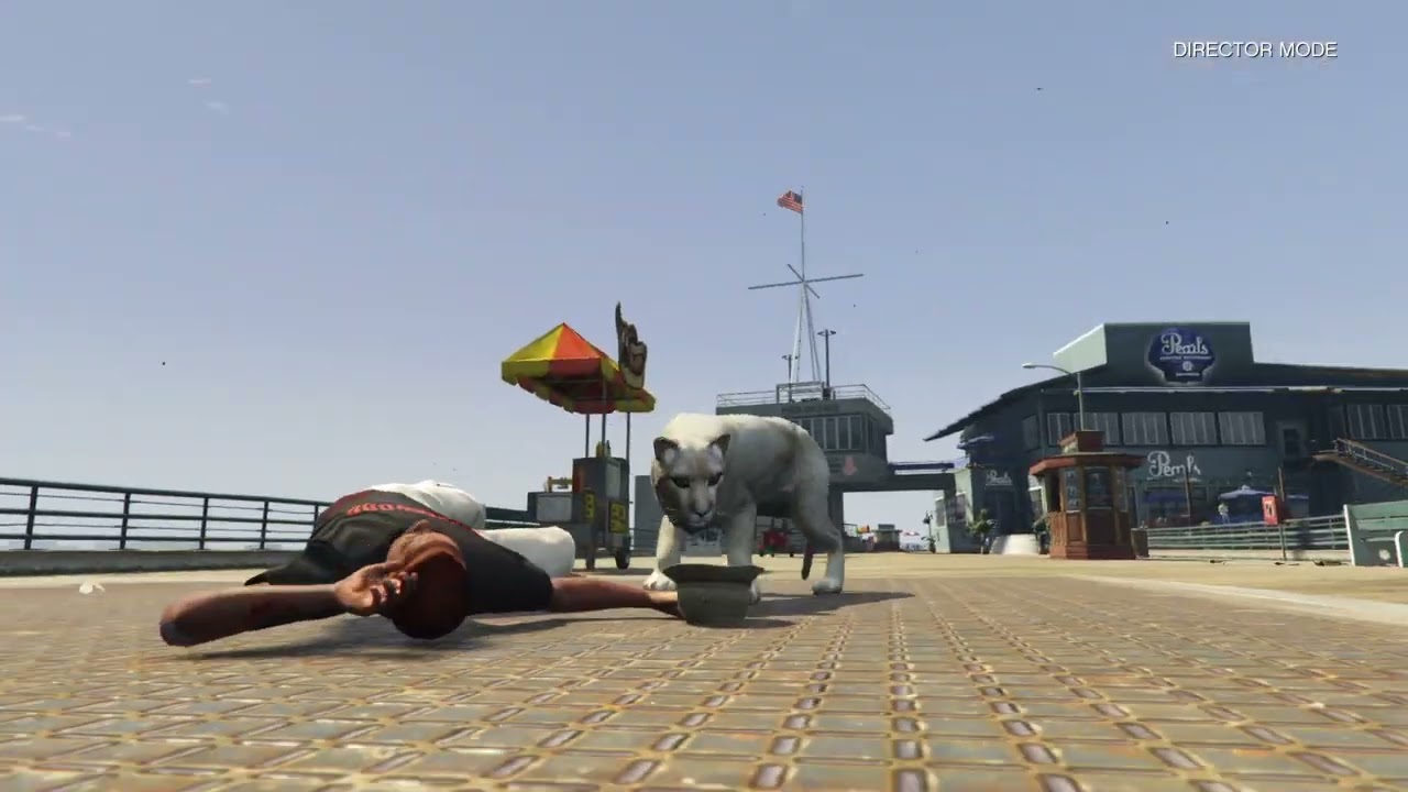 Mountain lion Killing people in Gta5