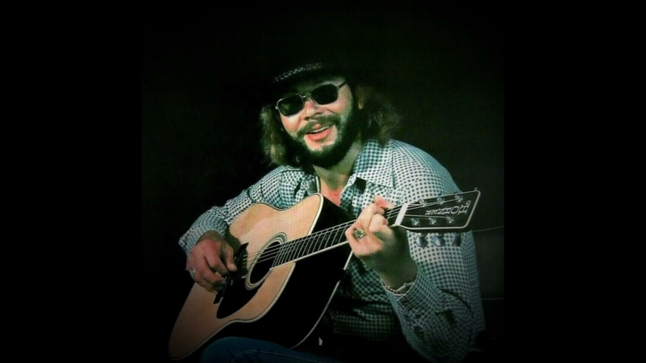 Hank Williams, Jr - If You Don’t Like Hank Williams - LIVE - 1980 - Chicago, Illinois