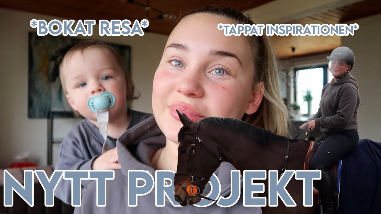 Nytt projekt på gång | Vi rekryterar | Bokat resa | Häng med i stallet!