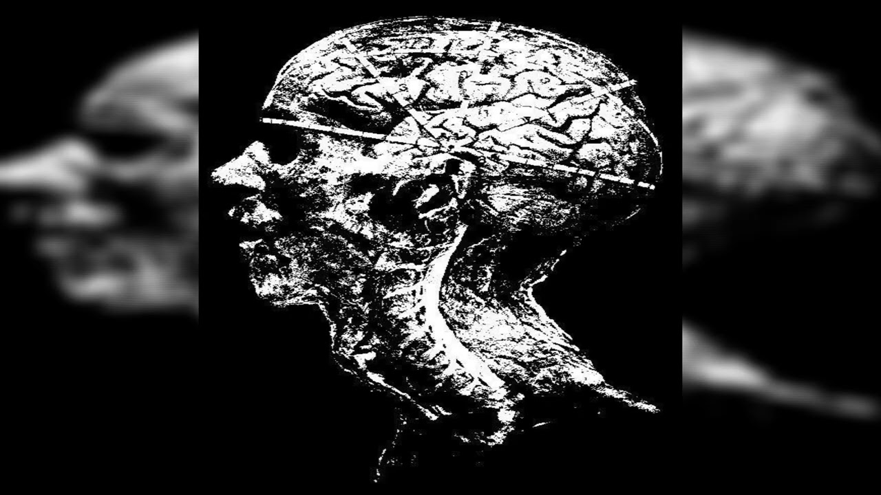 [FREE] NECROTRAP + TORTURECORE + HORRORCORE (Prod. Repakiller, v1kkar) DONT HEAR YOU