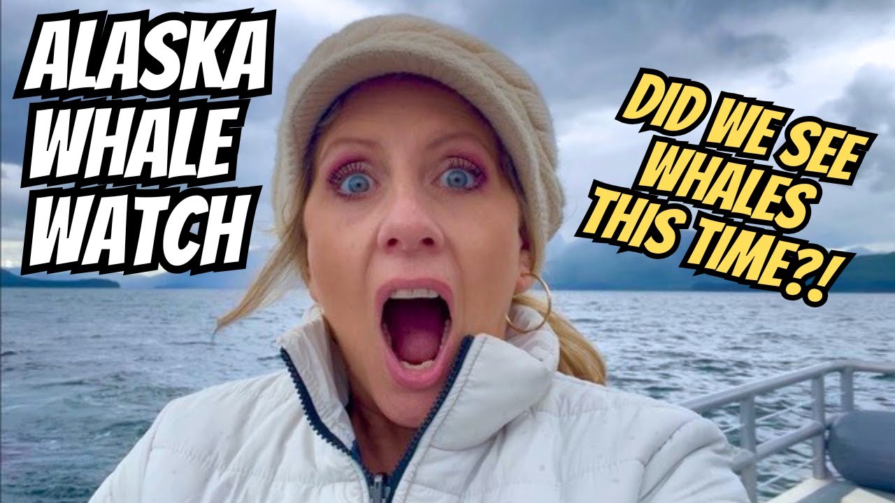 Whale Watching | How Did it Go in 2024??!!