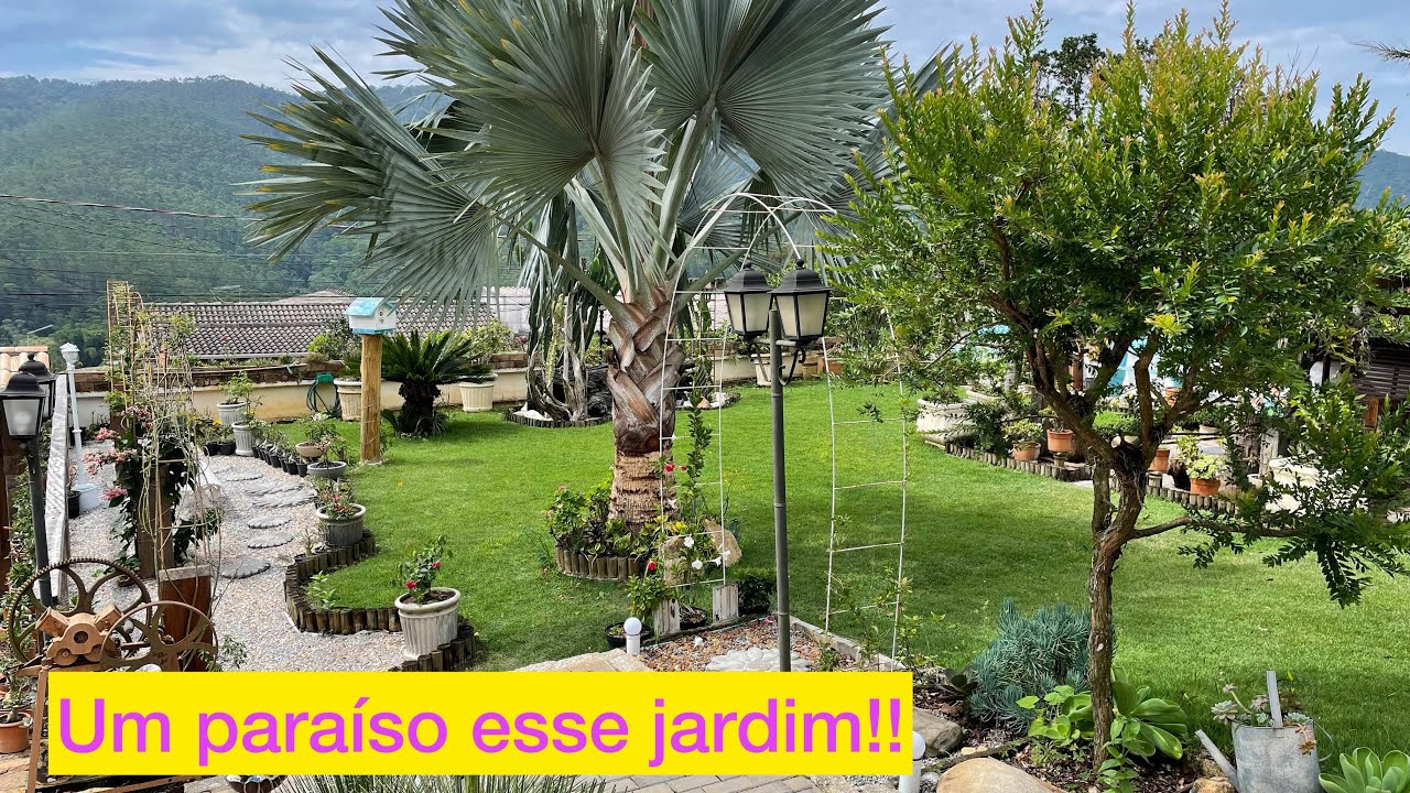 Um jardim dos sonhos!!