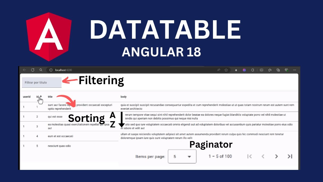 Datatable Angular 18 | Pagination, Sorting and Filtering