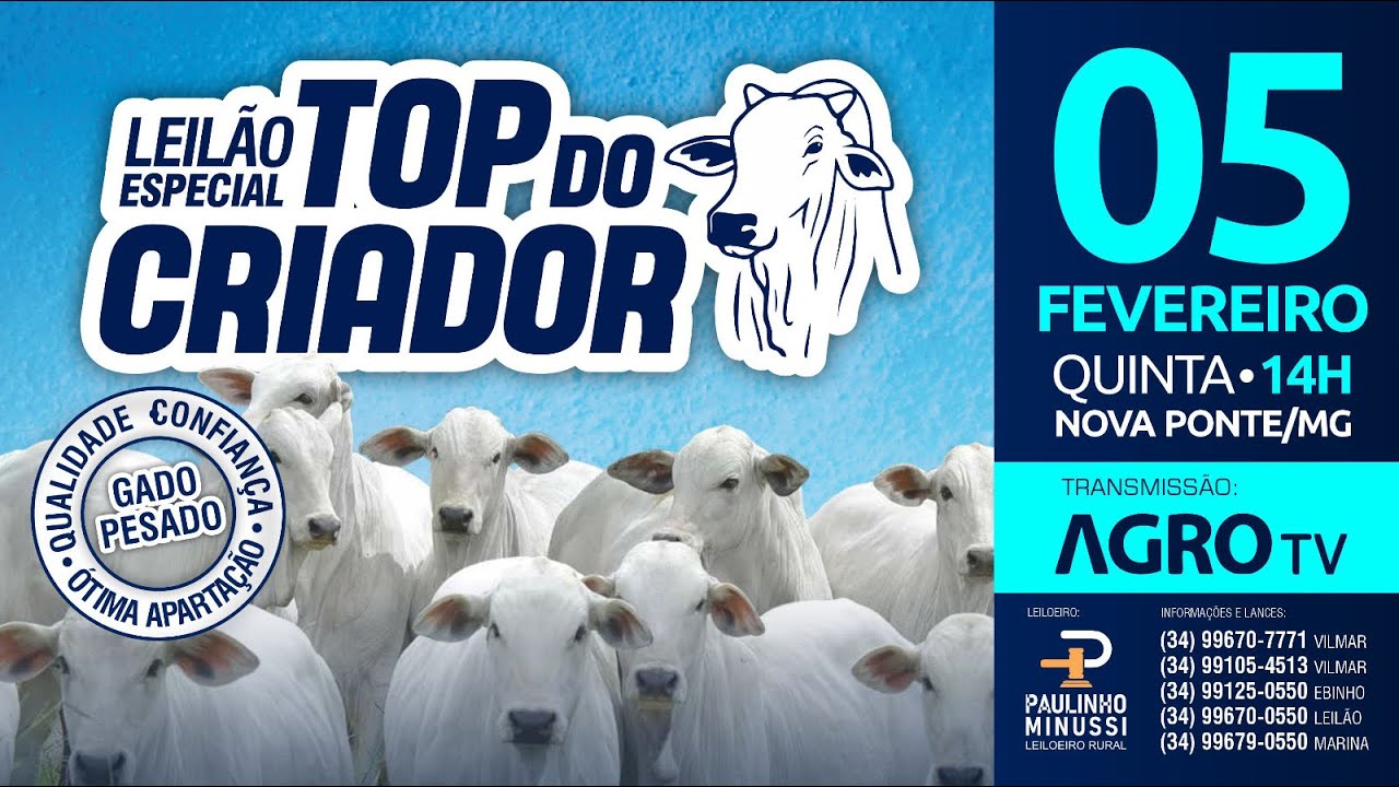 LEILÃO ESPECIAL TOP DO CRIADOR - 05/02/2026