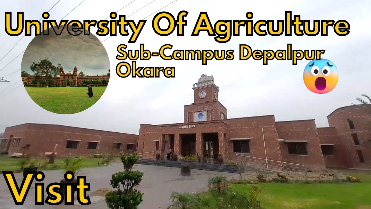Today we saw University of Agriculture - UAF sub campus depalpur okara and Okara university Vlog