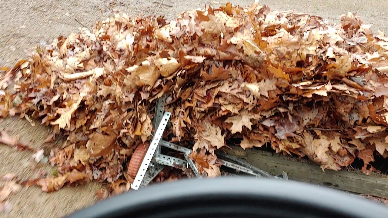 power rake pushing leaves