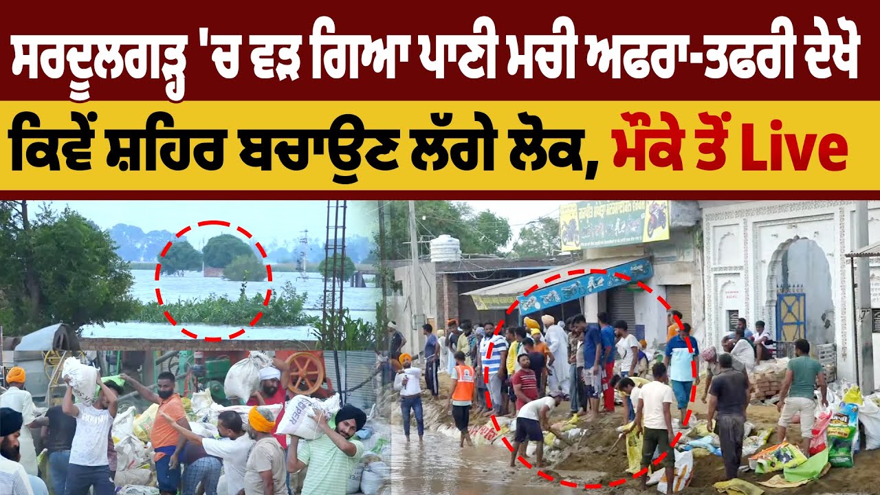 ਸਰਦੂਲਗੜ੍ਹ 'ਚ ਵੜ ਗਿਆ ਪਾਣੀ ਮਚੀ ਅਫਰਾ-ਤਫਰੀ ਦੇਖੋ ਕਿਵੇਂ ਸ਼ਹਿਰ ਬਚਾਉਣ ਲੱਗੇ ਲੋਕ,ਮੌਕੇ ਤੋਂ Live