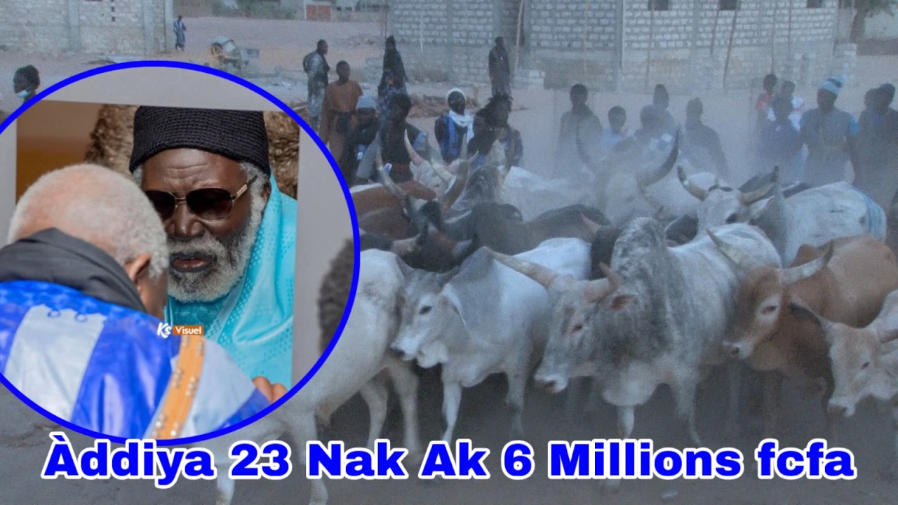 Sëriñ Fàllu Faal moom Sëriñ Móodu Aminta Jébbalaat na Sëriñ Amdi Xadi Faal 23 Nak Ak 6 Millions………..