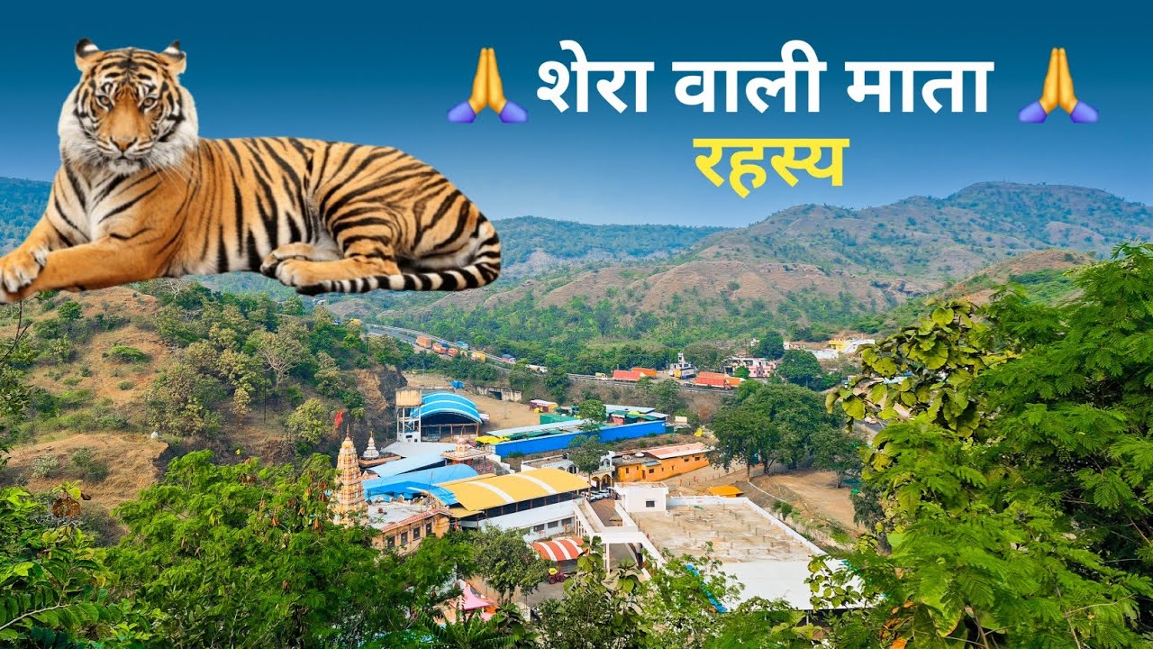 जय माँ बड़ी बिजासन धाम | Sendhwa का पवित्र शक्तिपीठ | Miracles & Divine Vibes|Kailash musafir