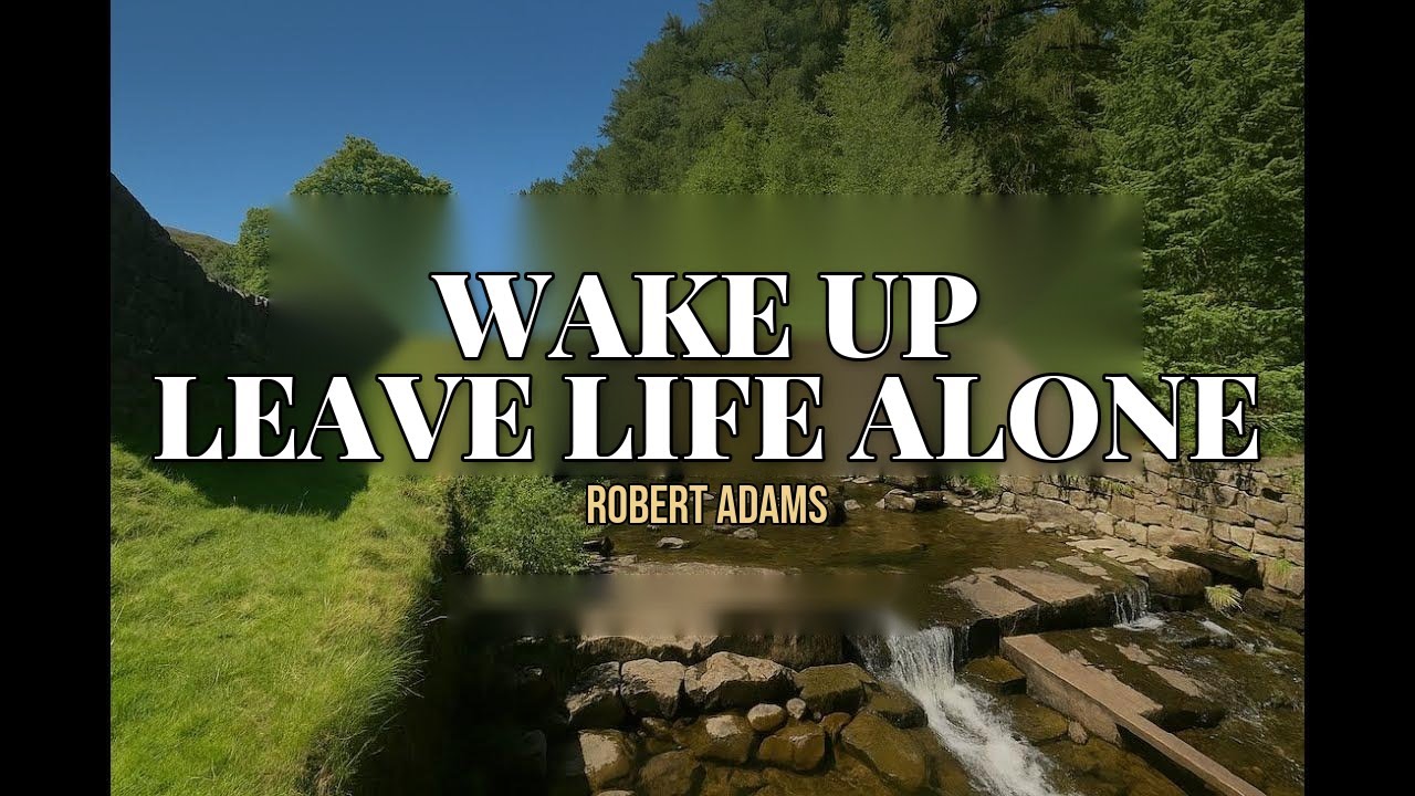 Wake Up - Leave Life Alone. Advaita Vedanta