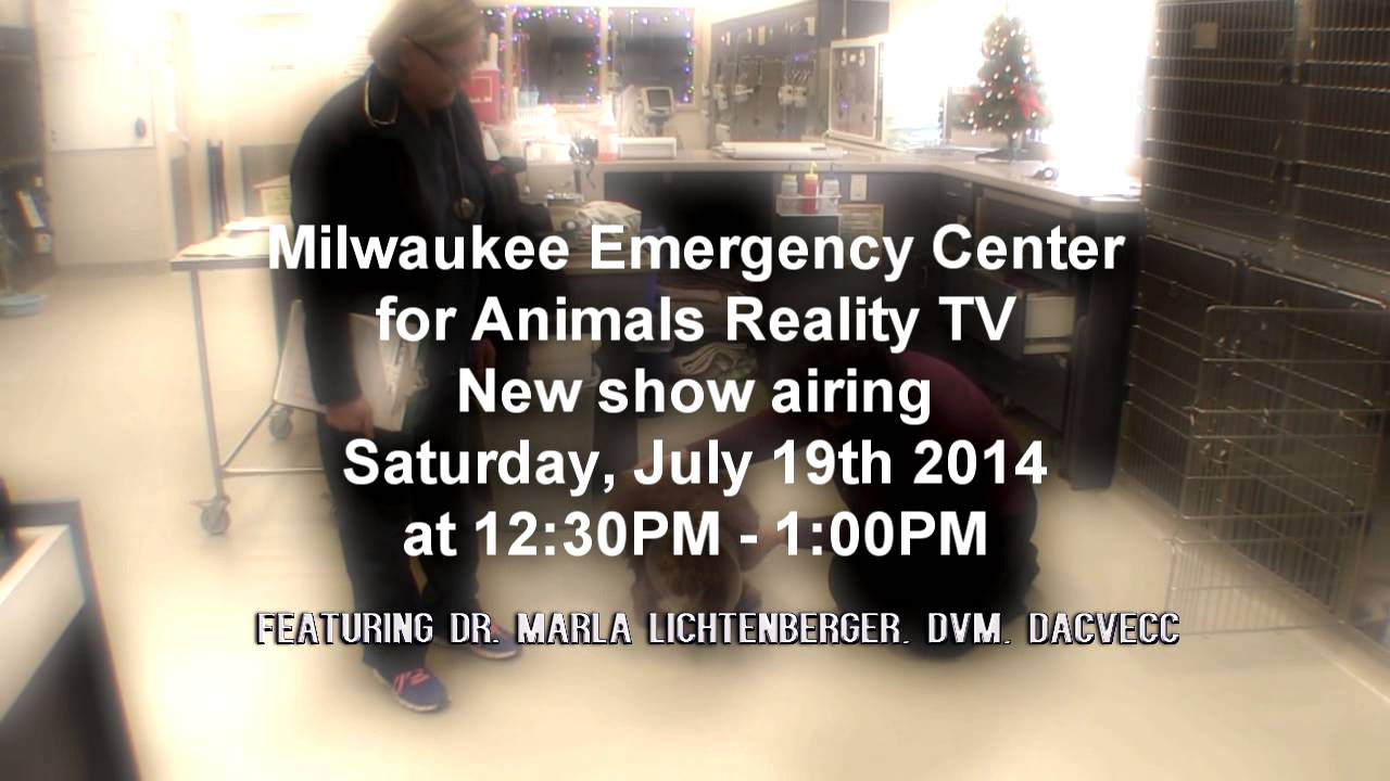 Milwaukee Emergency Center for Animals Reality TV Promo