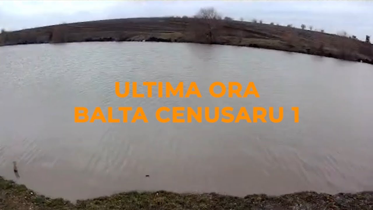 Ultima ORA - 1 februarie 2026 - Balta Cenusaru 1