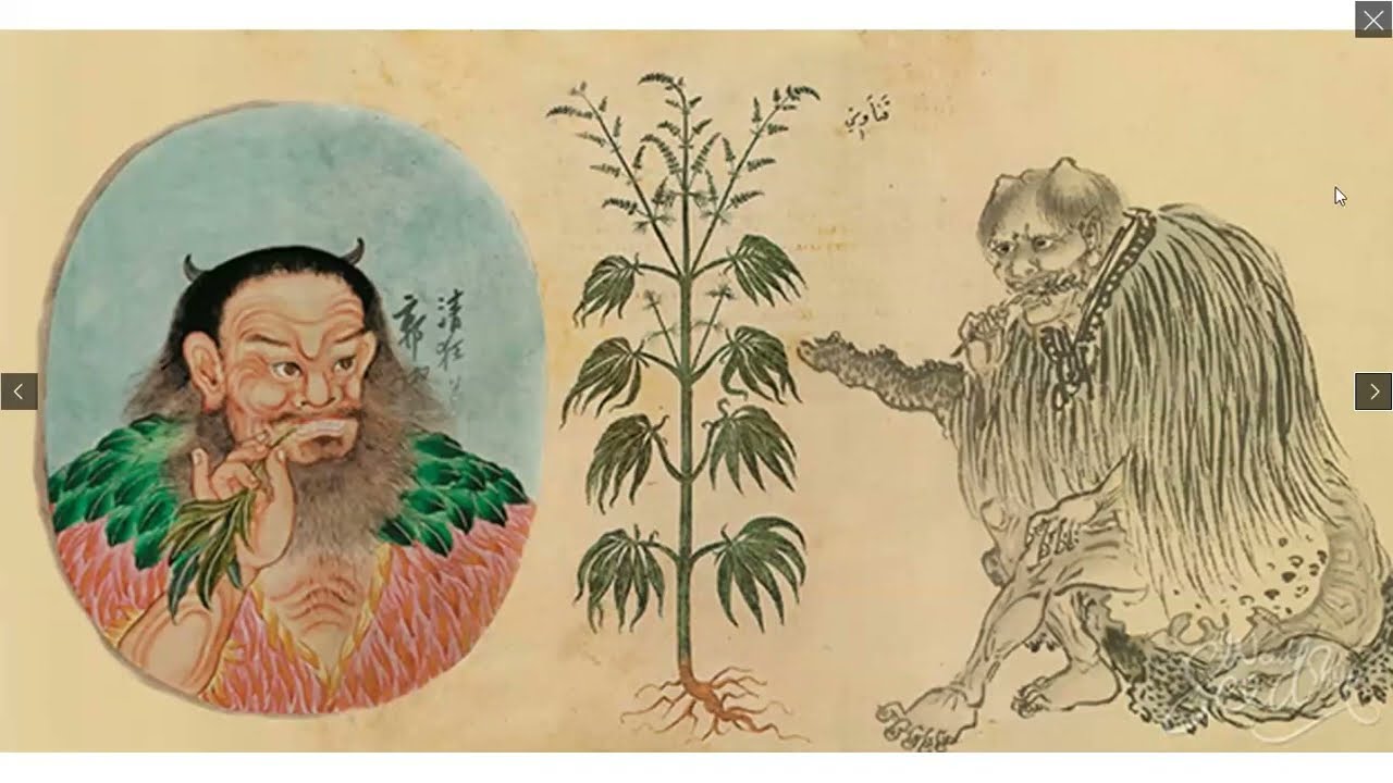 Las drogas antes de la prohibición