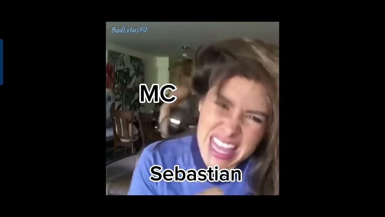 Hogwarts Legacy as vines but mostly Sebastian and Ominis [SPOILER!]