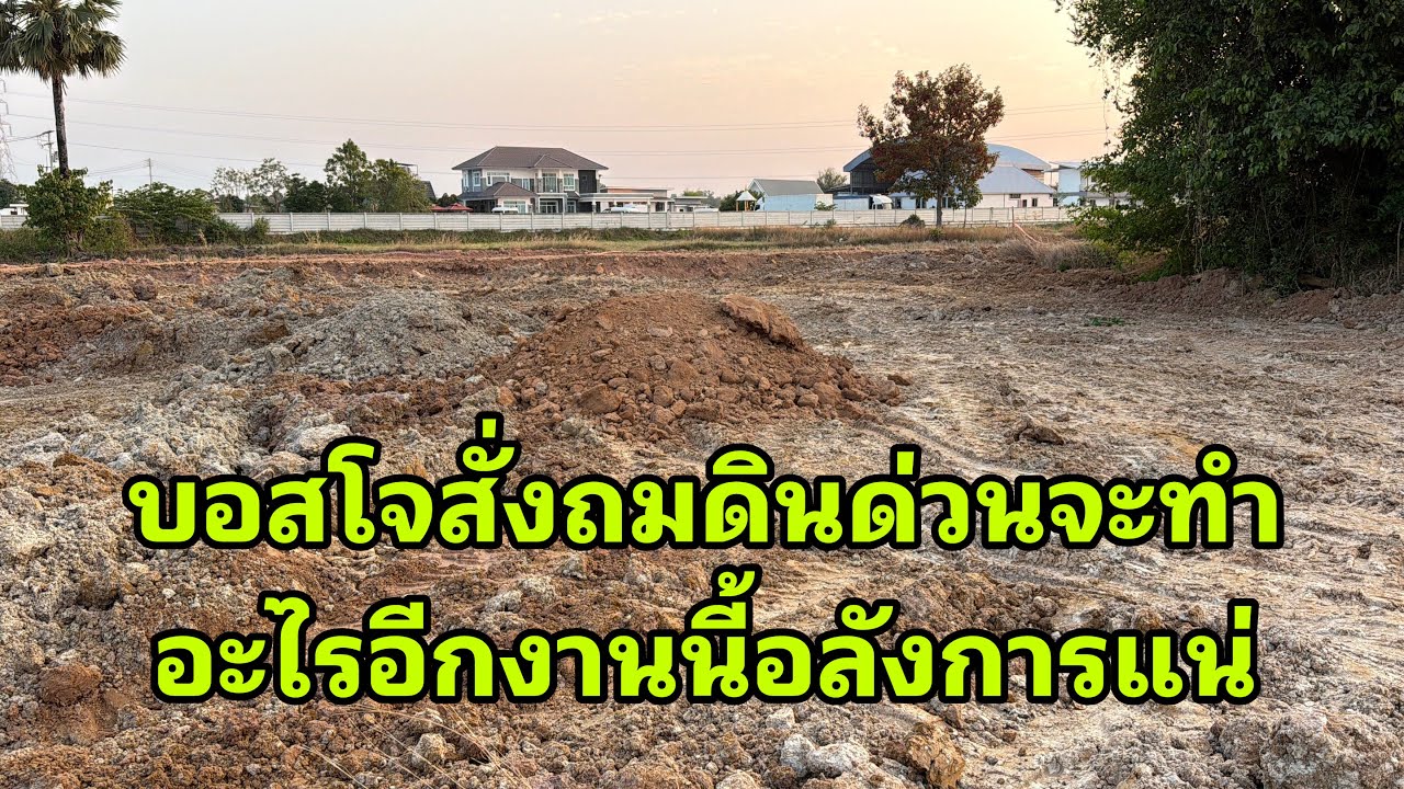 บอสโจสั่งด่วนเกิดอะไรขึ้น#อุ๋งอิ๋งเพชรบ้านแพง 