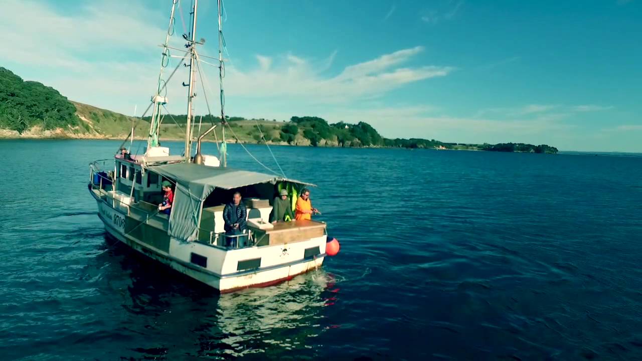 LEE Fish  Longline fishing , Tauranga New Zealand