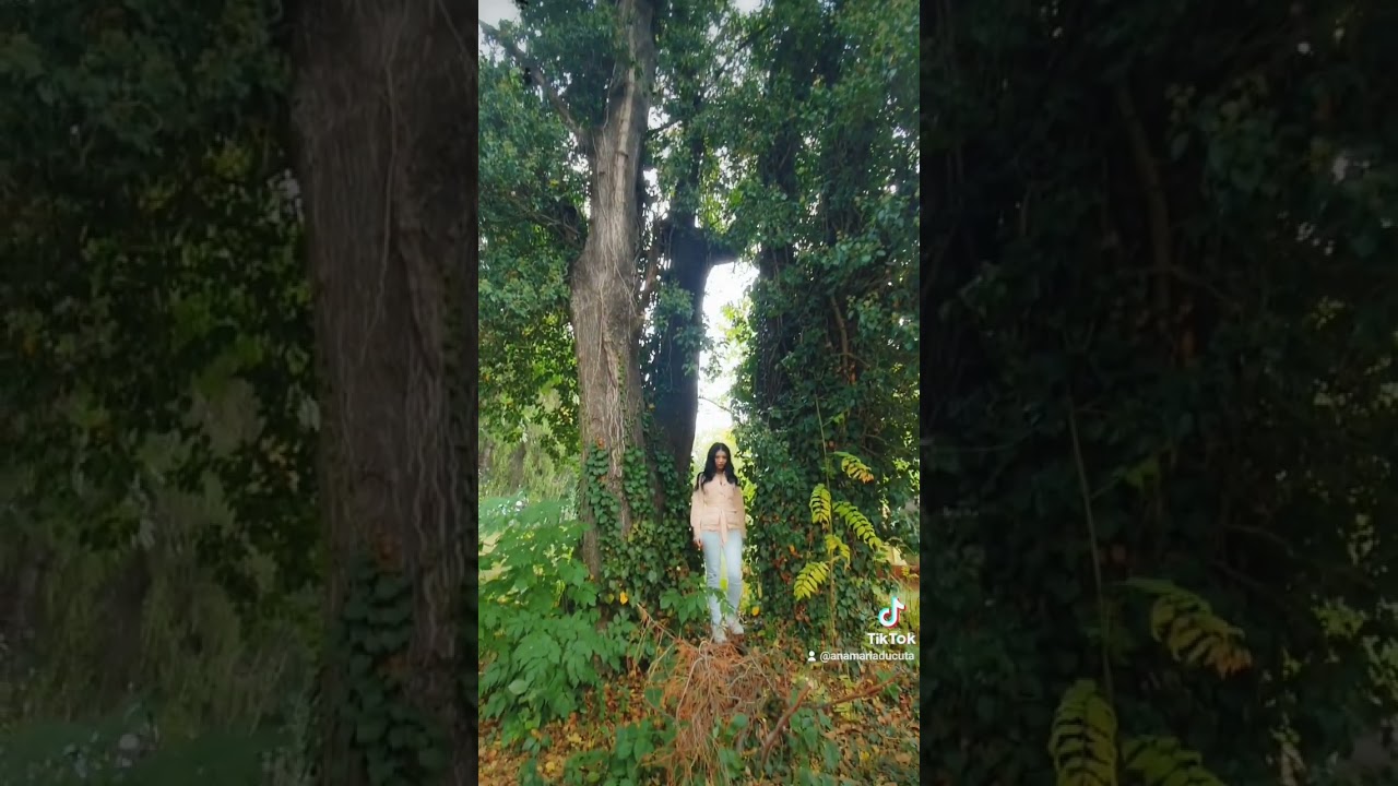 Ce se întâmplă când nu trăieşti în acord cu Misiunea Sufletului tău?