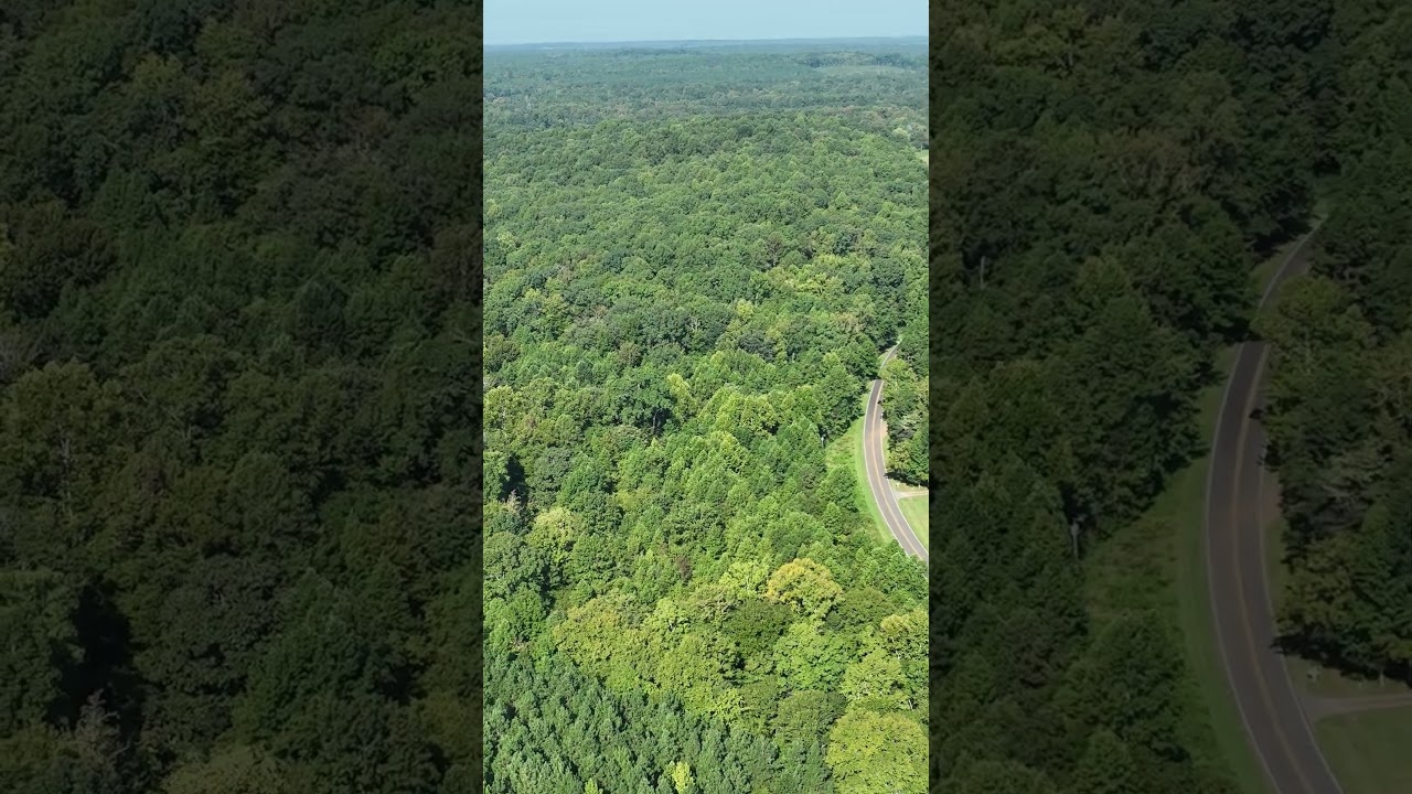 7.41 Acres with Creek | Owner Financing Available | Oxford, NC - Reel