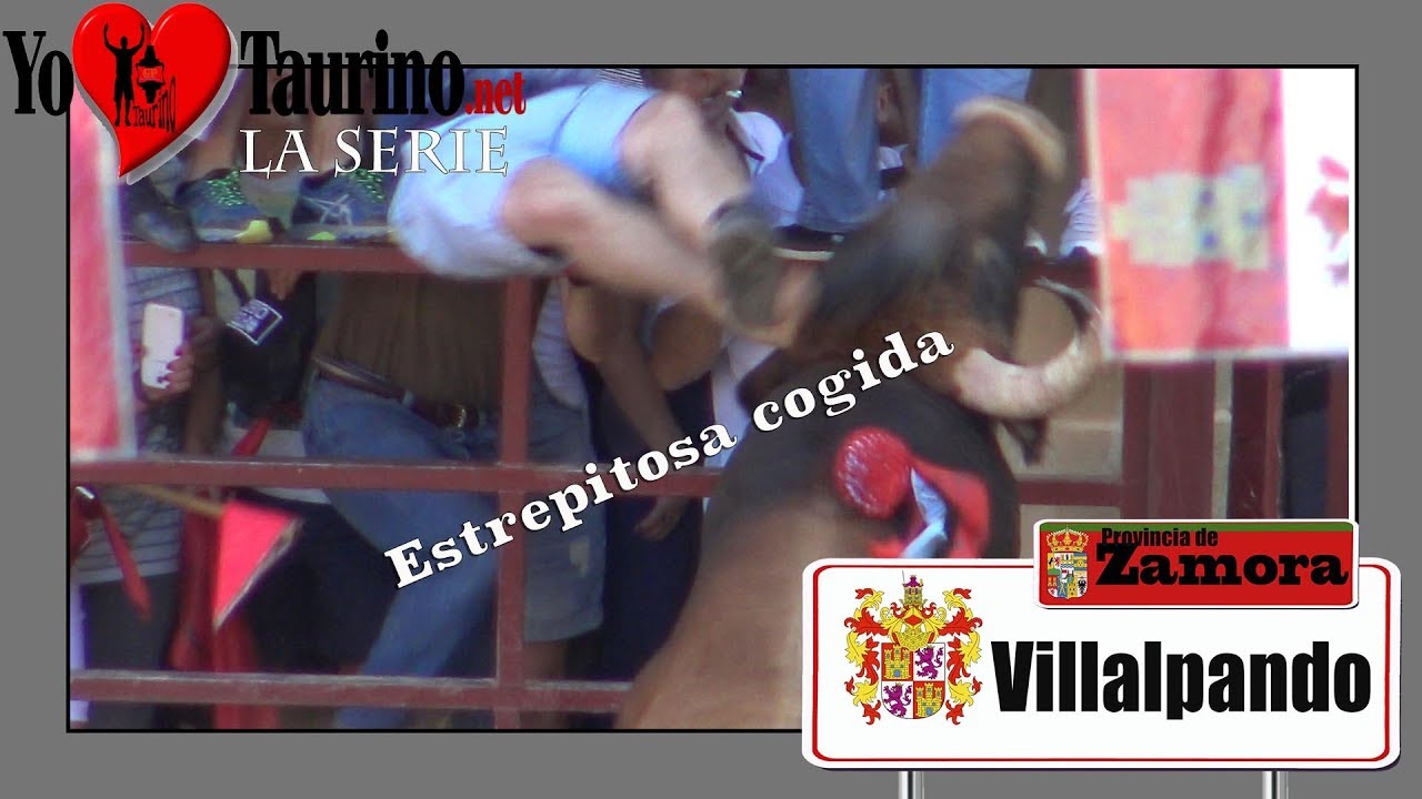 Estrepitosa cogida en el XI Toro de la juventud Villalpando 2017