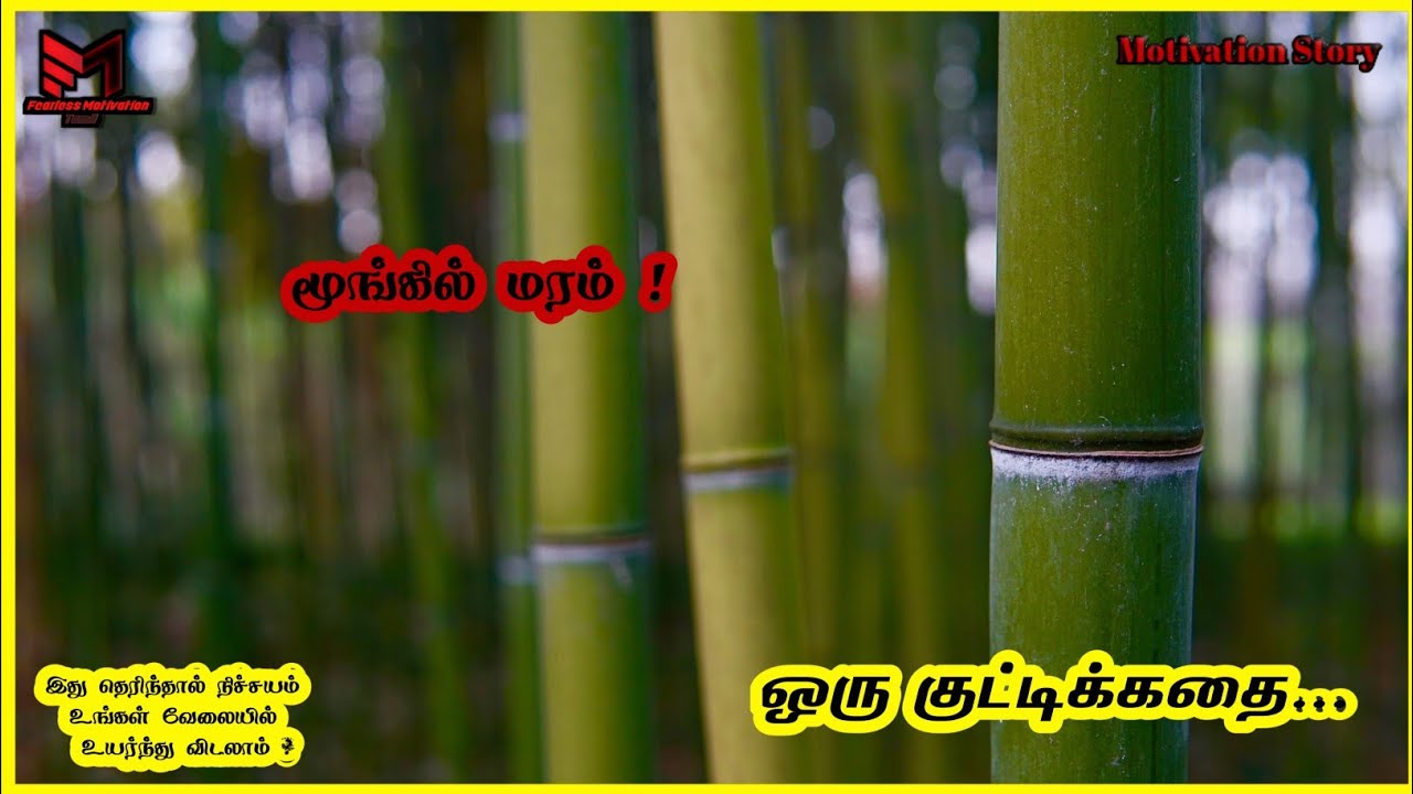 The Bamboo Tree (மூங்கில் மரம்) Motivational Story in Tamil | Fearless Motivation Tamil