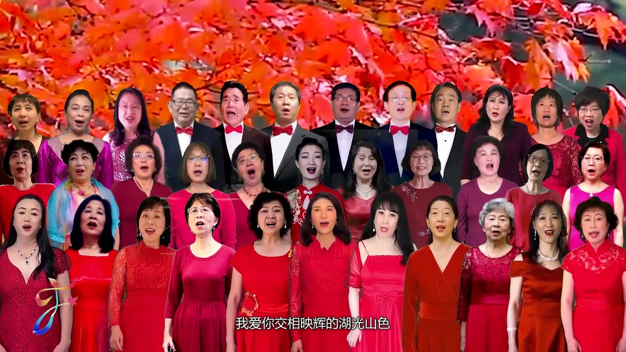《枫韵之歌》The maple rhythm by Cathy Zhang 张小燕博士