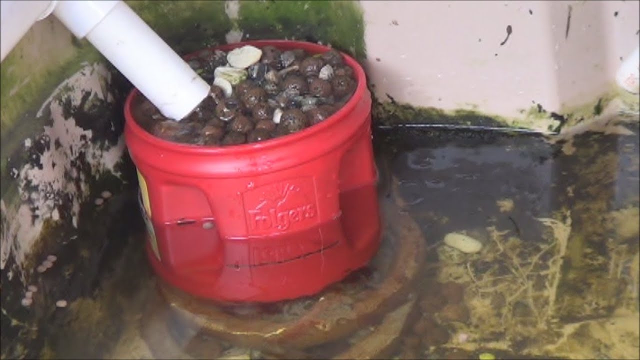 DIY Coffee Can Solids FIlter Update & Under Water Current Adaptation
