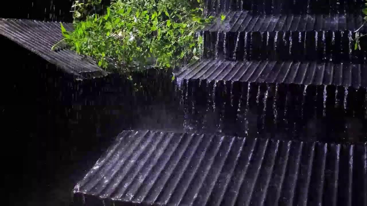 Calming Rain Sounds 🌧️ Tin Roof Thunderstorm for Better Sleep