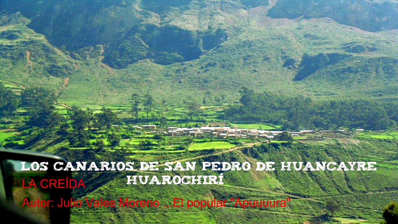 LOS CANARIOS  DE SAN PEDRO DE HUANCAYRE 