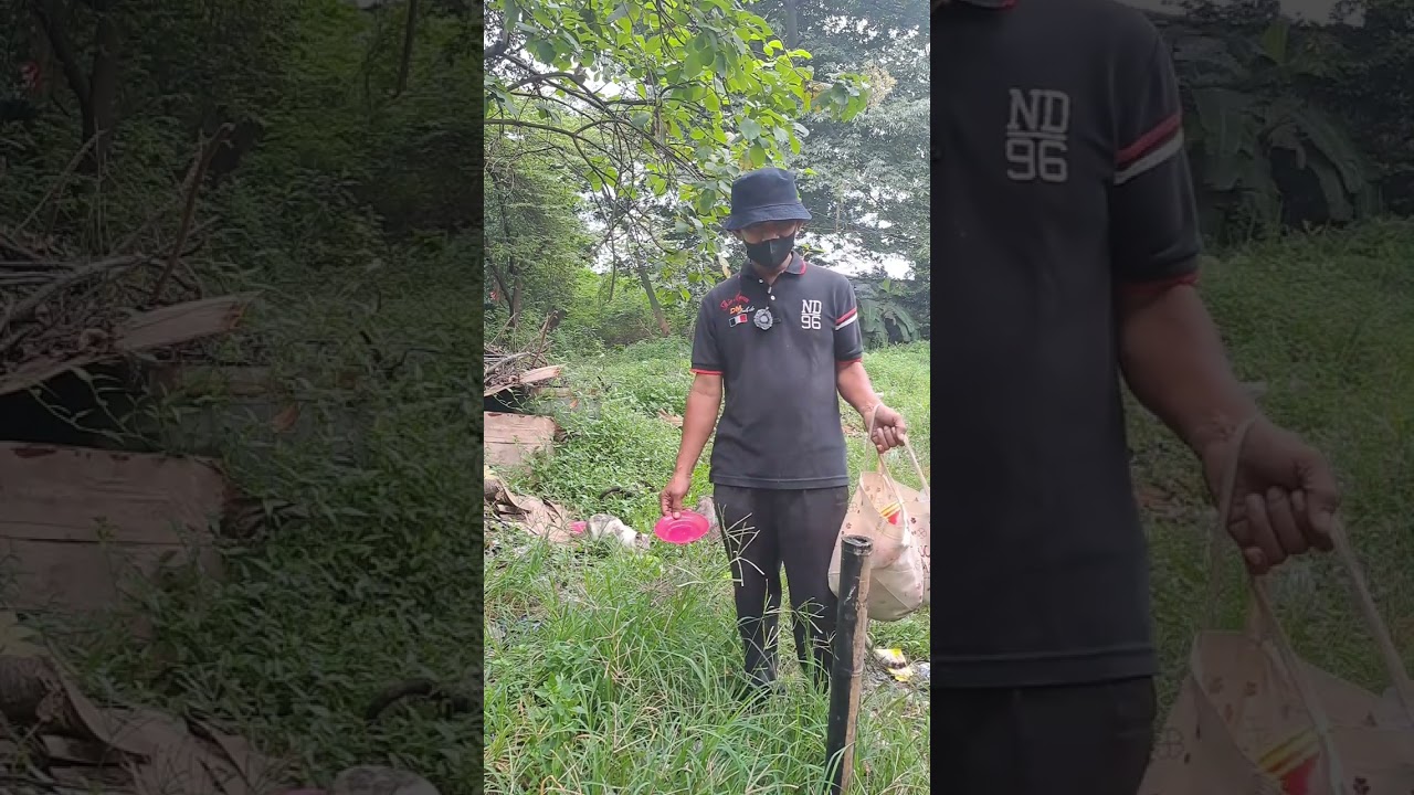 Beri makan anabul anabul tak bertuan