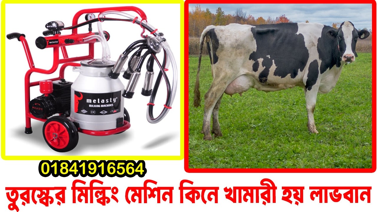 মিল্কিং মেশিন রিভিউ। দুধ দোহনের মেশিন রিভিউ | Milking machine price in Bangladesh