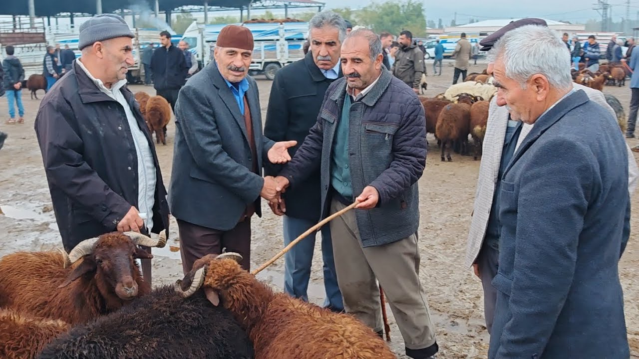 IĞDIR HAYVAN PAZARINDA PİYASA DURUMU 3 BÖLÜM.