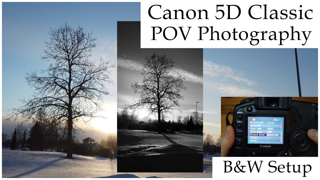 Canon 5D Classic & EF 40mm | B&W SOOC POV Photography | 5D Classic Settings