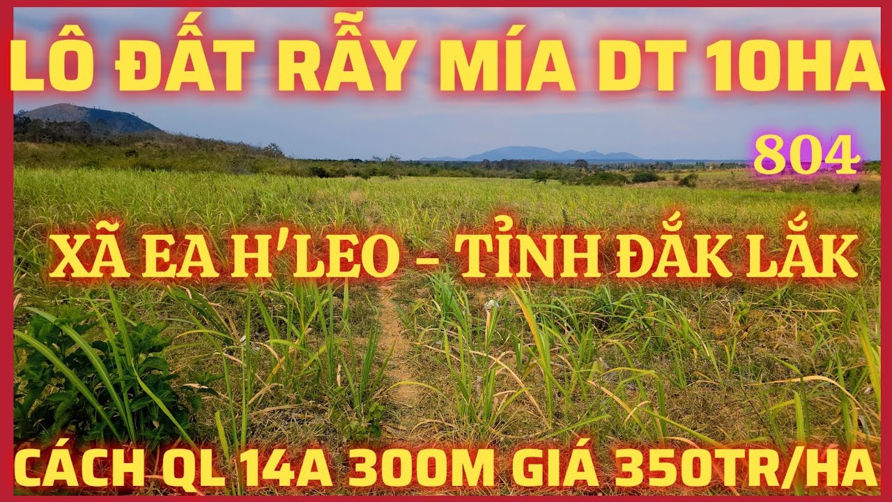 SANG NHƯỢNG LÔ ĐẤT RẪY MÍA DIỆN TÍCH 10HA GẦN DÂN CƯ, CÓ 2HỒ TƯỚI, CÁCH QL 14A 300M GIÁ 350TR/HA