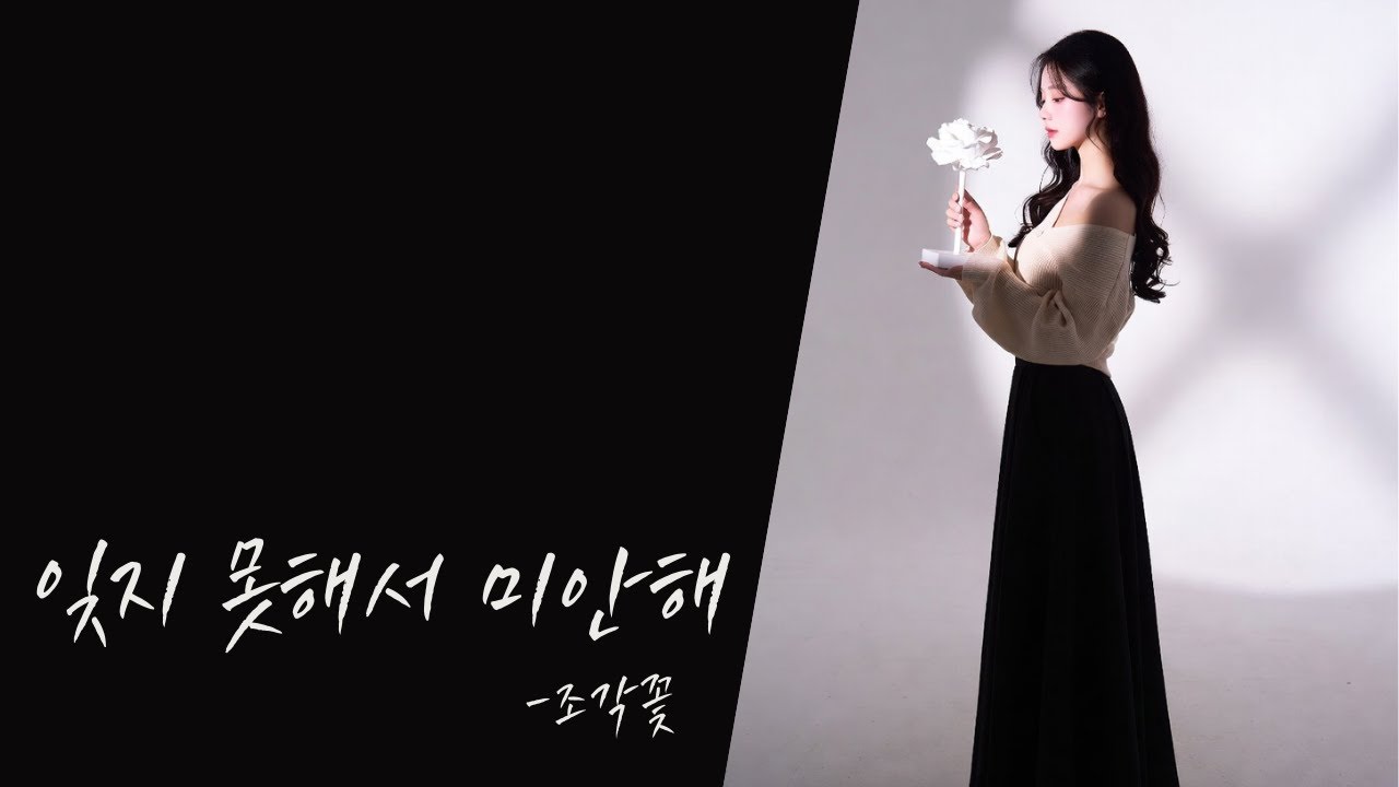 [#발라드] 잊지 못해서 미안해/가사
