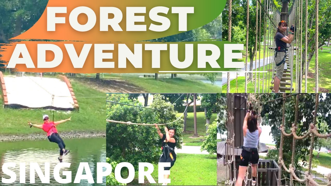Forest Adventure Bedok Reservoir Park