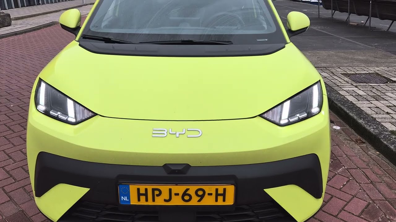 Byd dolphin surf