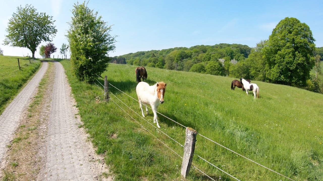 Meditationsweg  -  Runde von Lindlar mit dem E-MTB