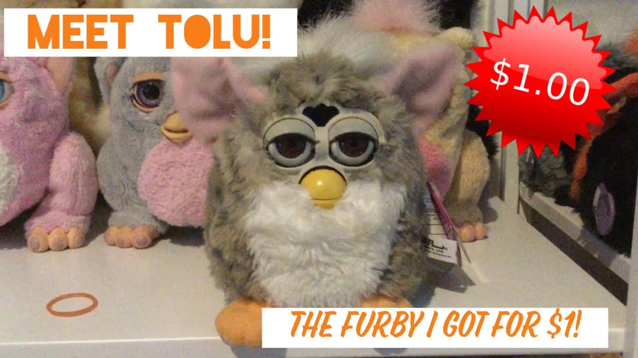 I got this furby for only $1! Meet Tolu!