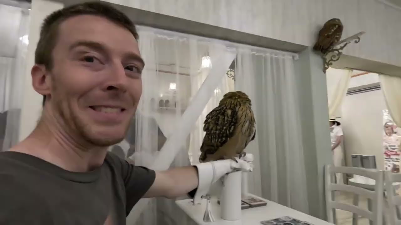 Tokyo Has an OWL Café?! 🦉 Akihabara Adventure 🇯🇵